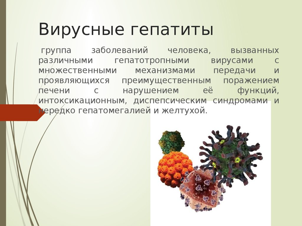 Вирусные инфекции какие бывают. Вирусные гепатиты. Вирус гепатита а заболевание. Вирус гепатита в.